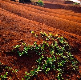 局部开放地图+载具驾驶？爆料透露《生化9》新细节